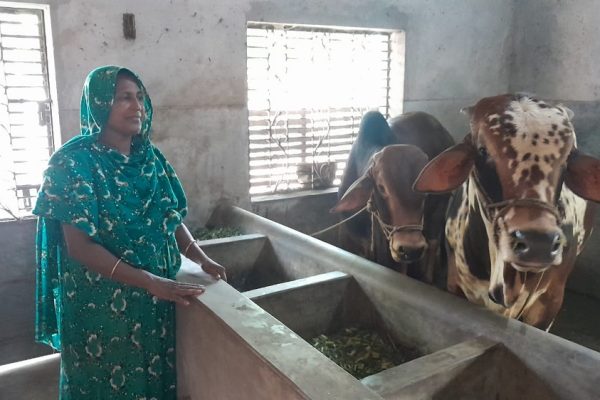 WhatsApp Image 2025-10-21 at 13.35.19_0da7ebaa